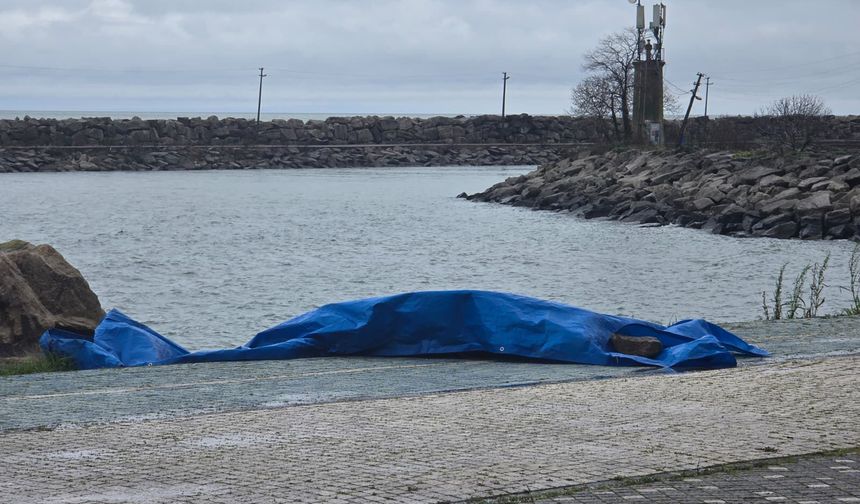 Ordu'da sahile insansız araç olduğu değerlendirilen cihaz vurdu