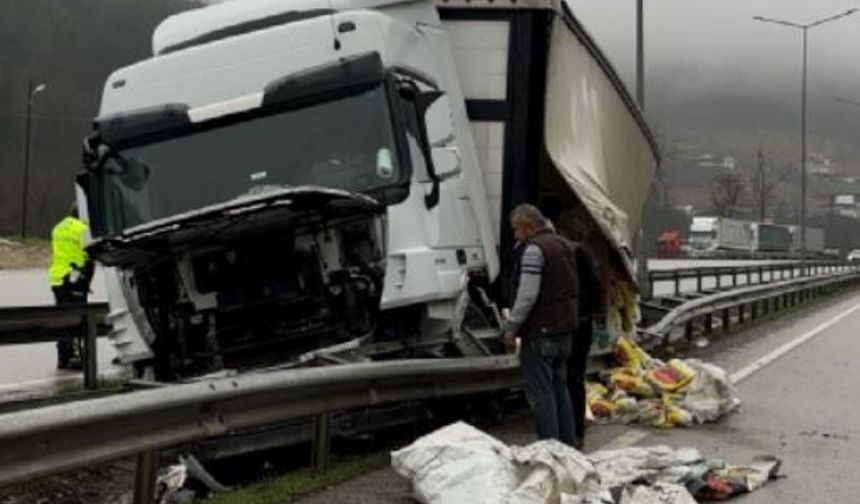 Park halindeyken hareket eden TIR, refüje çarptı