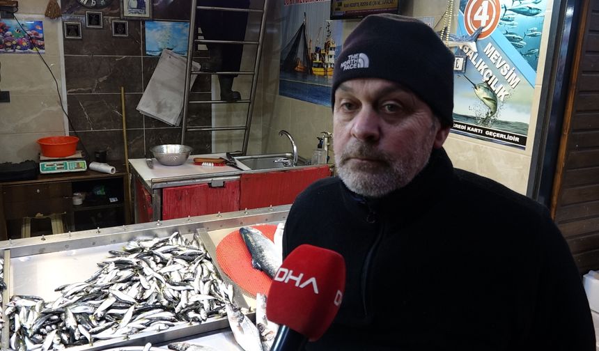 Ramazanda balık tezgahlarında hamsi ve istavrit bereketi