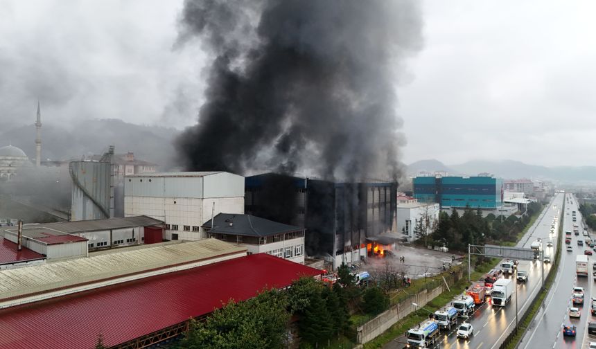 Trabzon'da fındık fabrikasında yangın (3)