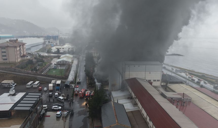 Trabzon'da fındık fabrikasında yangın/ Ek fotoğraflar