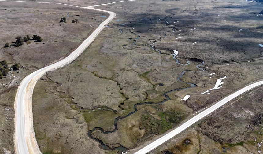 Yaylalar, baharın habercisi çiğdem çiçekleri ile renklendi