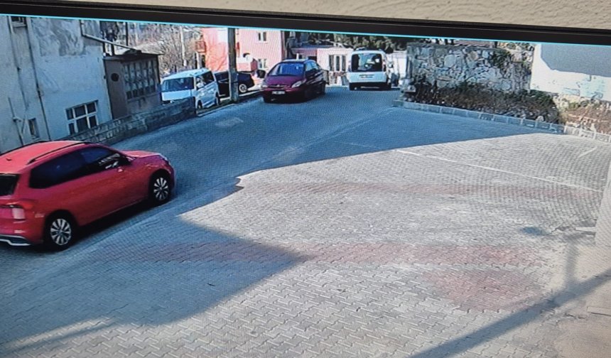 11 yıldır yurt dışında baktıkları köpekleri Zonguldak'ta otomobil çarpması ile öldü; mezar yaptırdılar