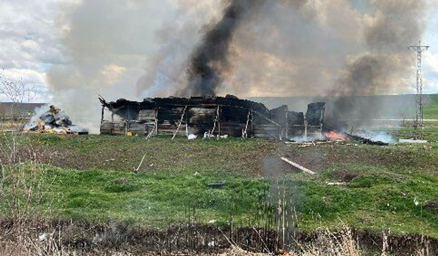 Çorum'da ağıl ile 150 saman balyası yandı