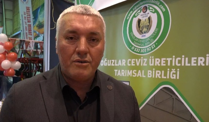 Çorum'da ceviz üreticileri güçleniyor