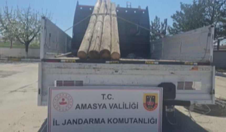 Kablo ve telefon direği hırsızlığına 3 tutuklama