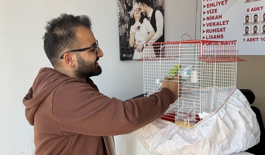 Kedinin, dükkandaki kuşlara saldırdığı anlar kamerada