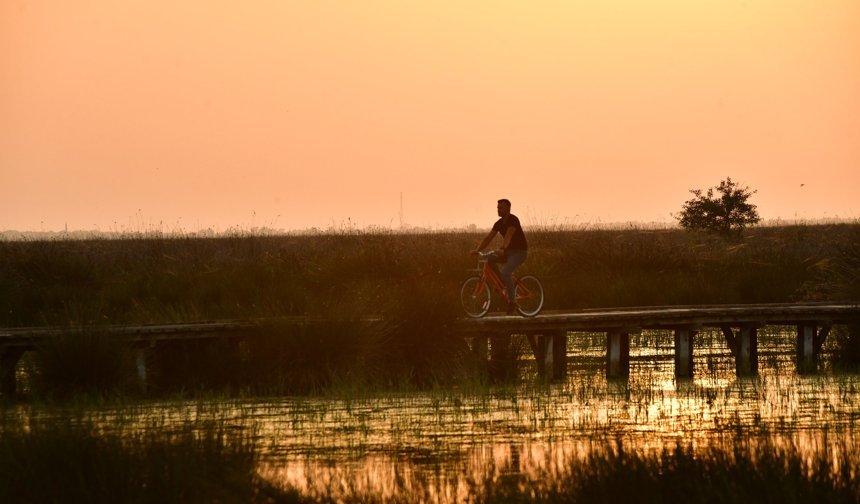 Kızılırmak Deltası Kuş Cenneti'nde bahar coşkusu; flamingolardan görsel şölen