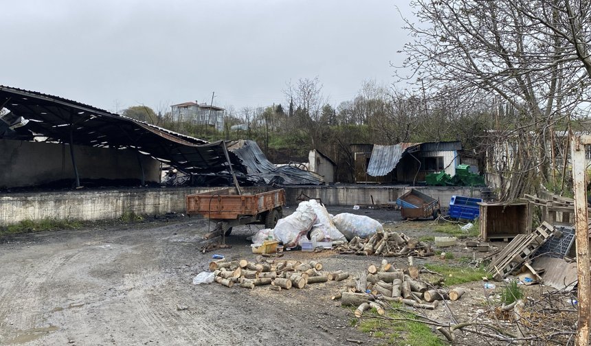 Meyve deposundaki yangının boyutu, gün ağarınca ortaya çıktı