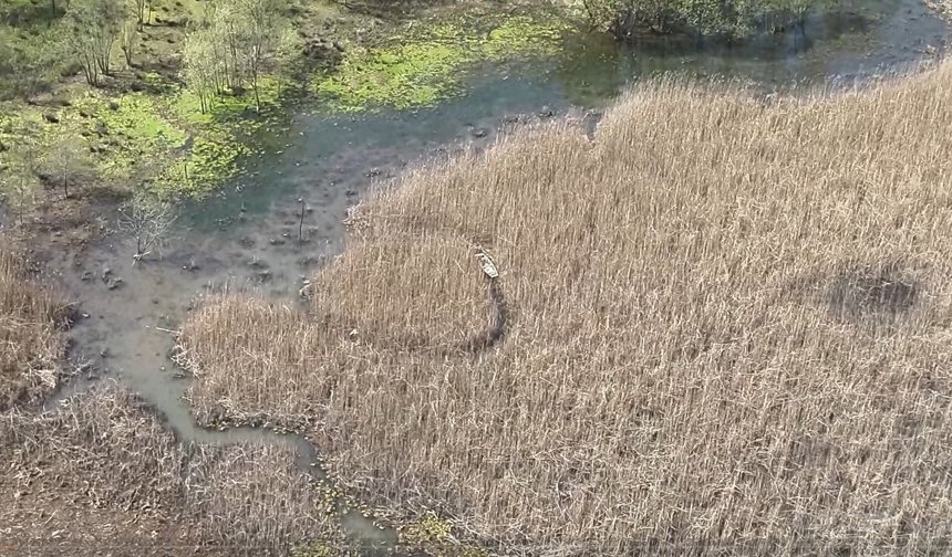 Milli Parklardan termal drone destekli arama