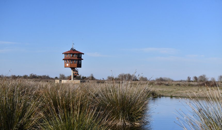 Samsun turizmde vites yükseltiyor