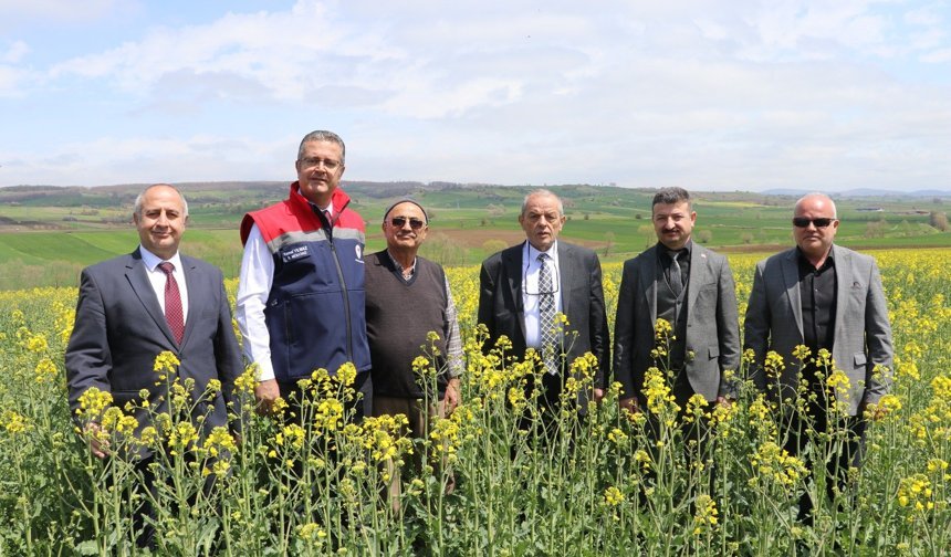 Samsun'da ayçiçeği ve kuru fasulye tohumları üreticilere teslim edildi
