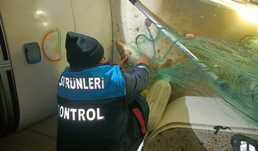 Samsun'da kaçak avcılıkla yakalanan balıklar geri salındı