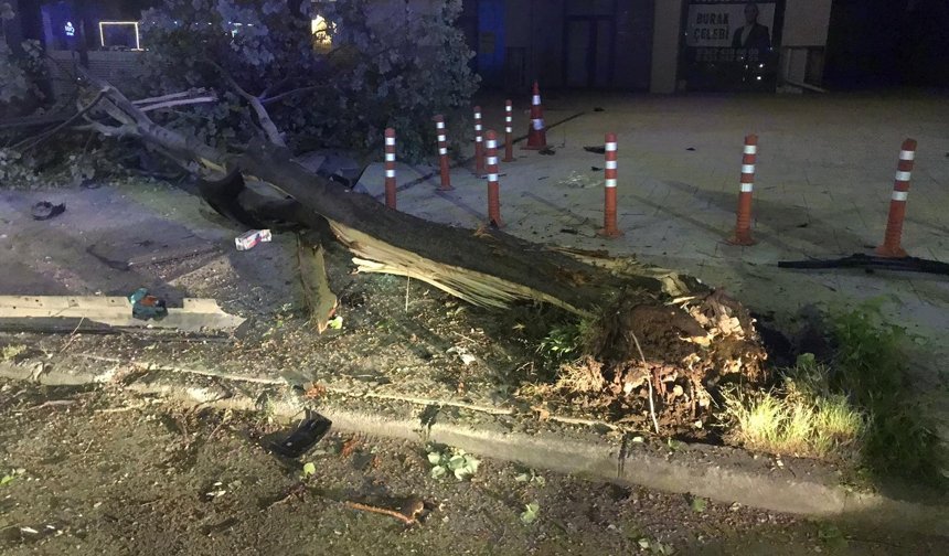 Samsun'da kontrolden çıkan otomobil ağacı devirdi: 1 yaralı