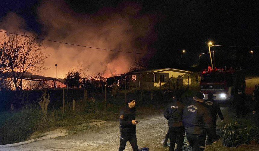 Samsun'da paletlerin olduğu meyve deposunda yangın (2)