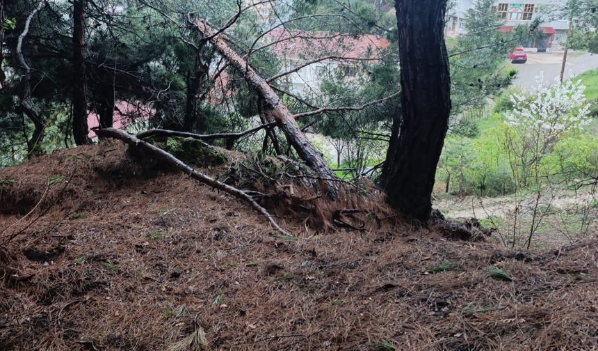 Tokat'ta toprak kayması ve kaya düşmesi nedeniyle 15 daire tahliye edildi