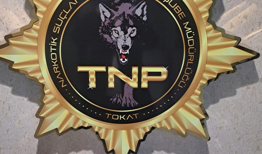 Tokat'ta uyuşturucu operasyonu: 1 tutuklama