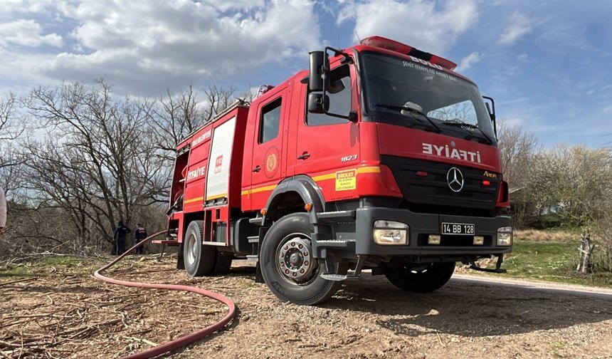 Yanan ağaç ve otlar itfaiye ekibi tarafından söndürüldü