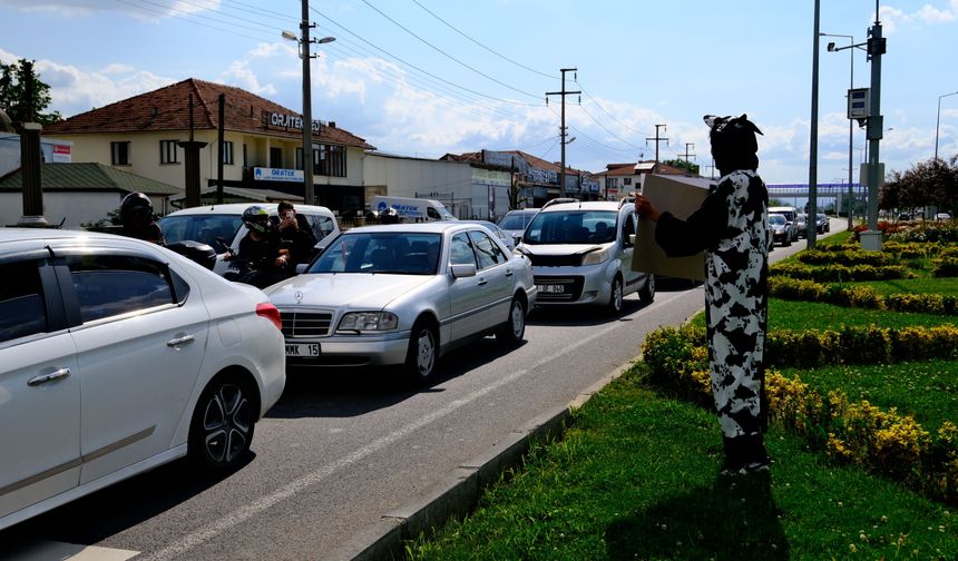 Akan trafikte inek kostümüyle sürücülere hız yapmayın uyarısı