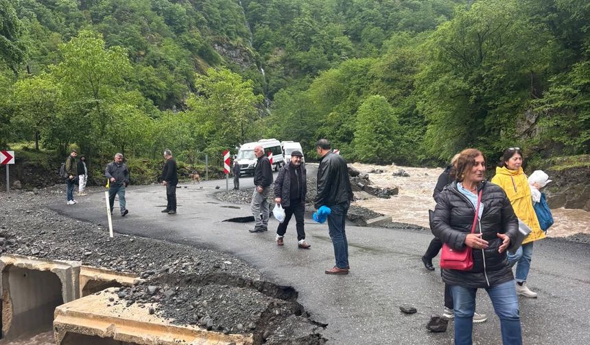 Artvin'de etkili sağanak; dere taştı, köprü hasar gördü