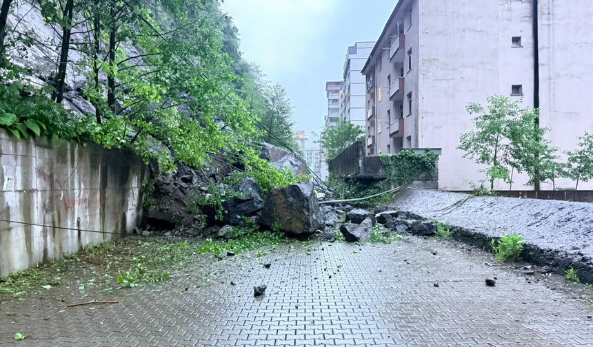 Artvin'de sağanak; dere taştı