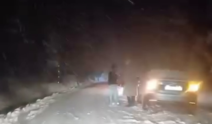 Bolu Dağı'nda kar yağışı (2)