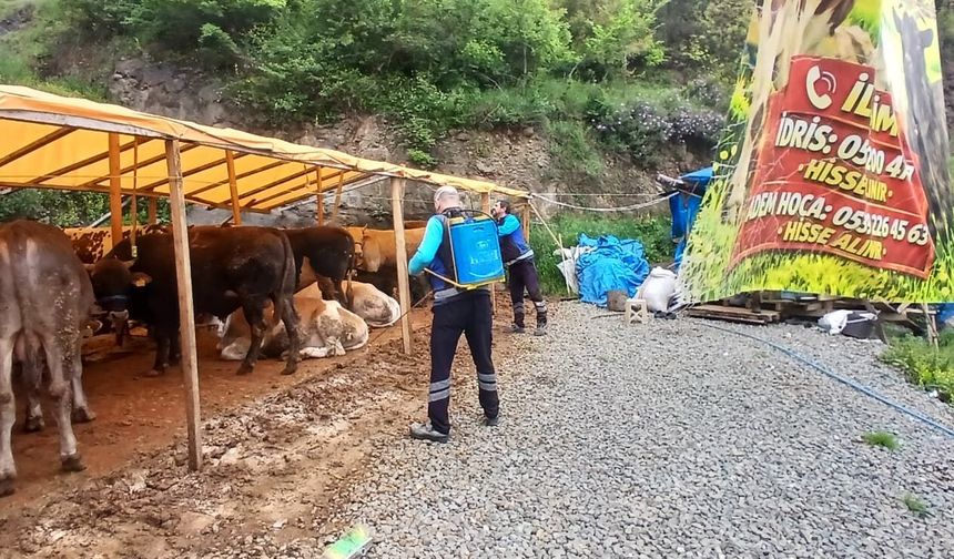 Büyükşehir'den kurban alanlarında hijyen seferberliği