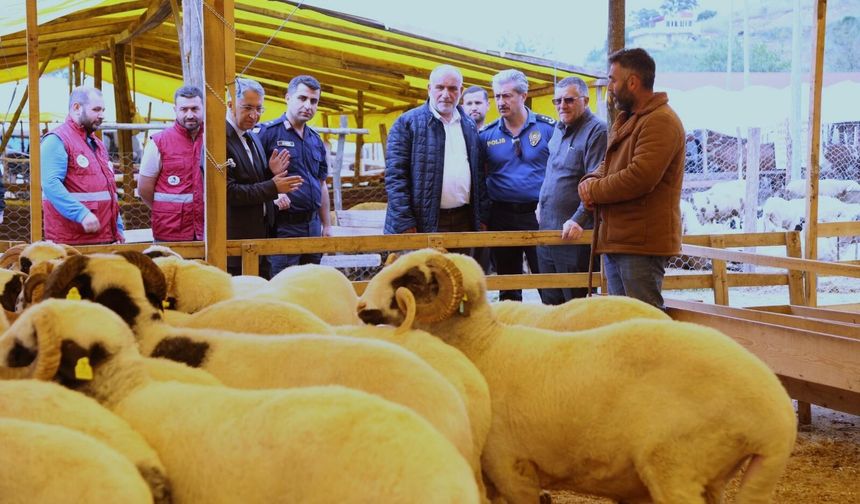 Canik Belediyesi Kurban Pazarı'na büyük rağbet
