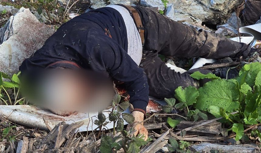 Dere kenarında bıçaklanarak öldürülmüş erkek cesedi bulundu