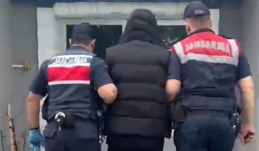 Evine iklimlendirme sistemi kurup, kenevir yetiştiren şüpheli gözaltına alındı