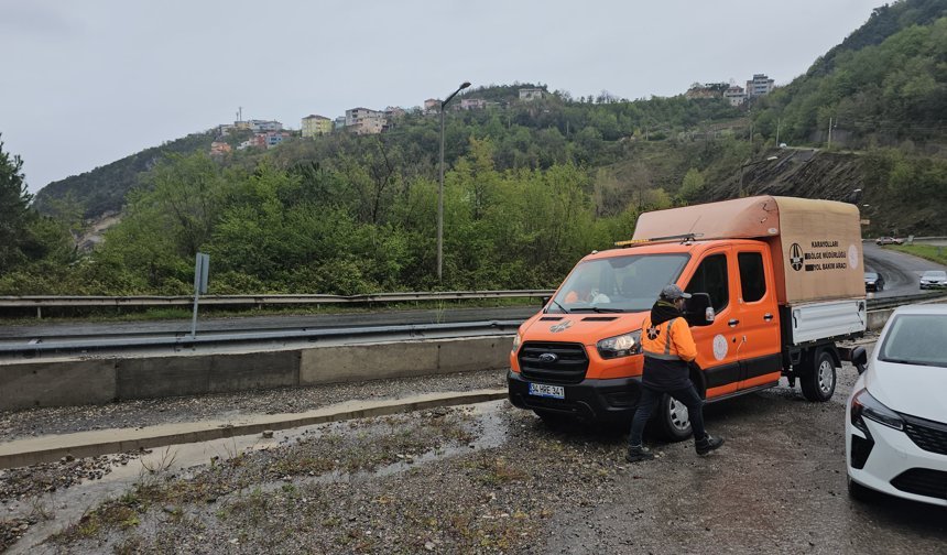 Heyelan nedeniyle kopan kaya ve dal parçaları elektrik hattını kopardı