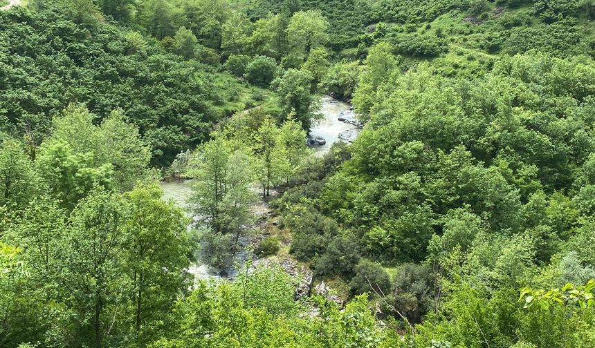 Irmakta cesedi bulunan kadın, çalıya takılıp düşmüş