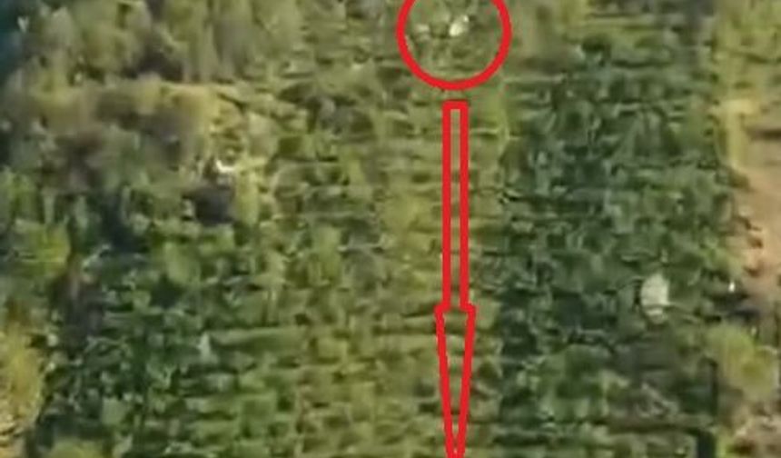 Kamyonetin dik yamaçtan yuvarlandığı kaza kamerada; 2 yaralı