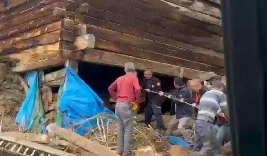 Kastamonu'da ağıl çöktü: 1 ölü