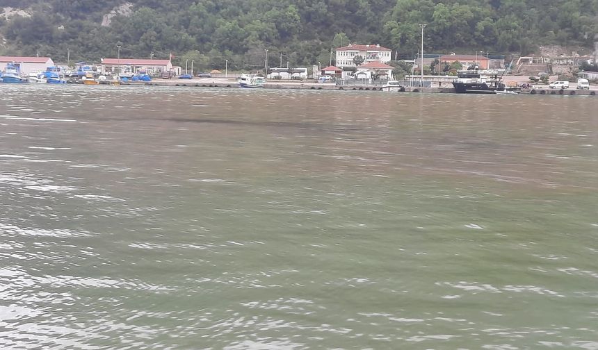 Kastamonu'da dereye kimyasal atık karıştı