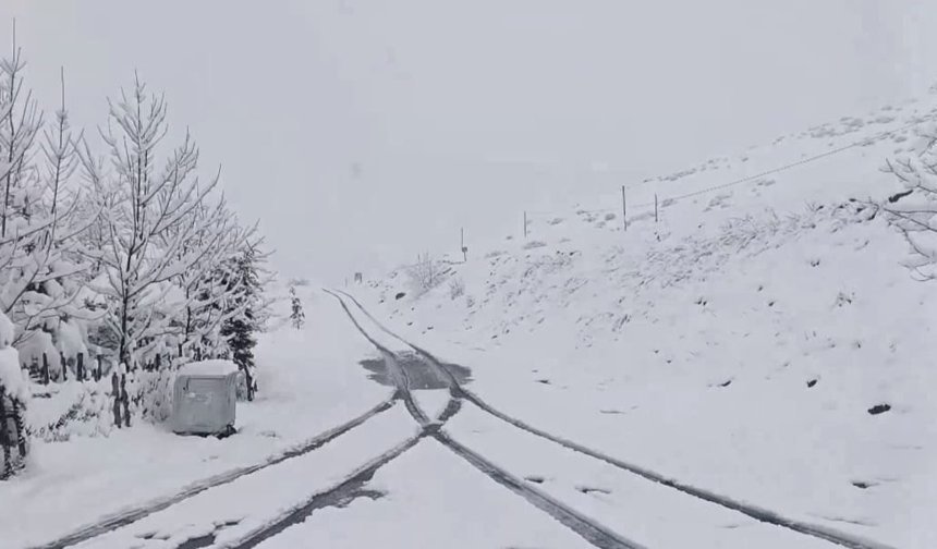 Ordu'da mayıs ayında kar yağdı