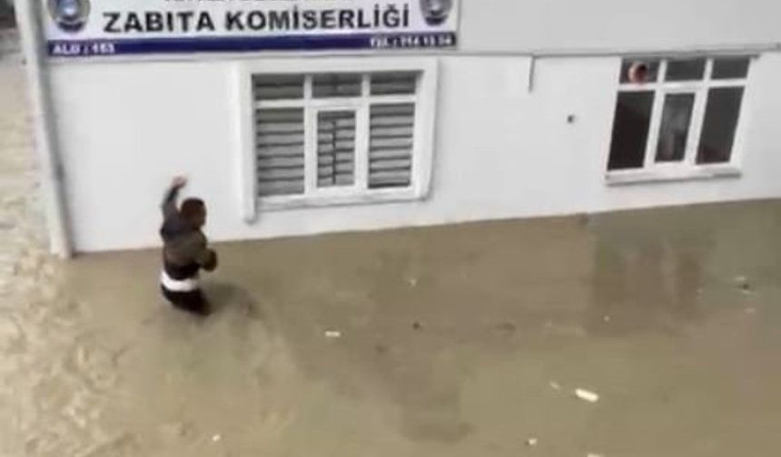 Sel sularına kapılan kediyi boğulmaktan kurtardı