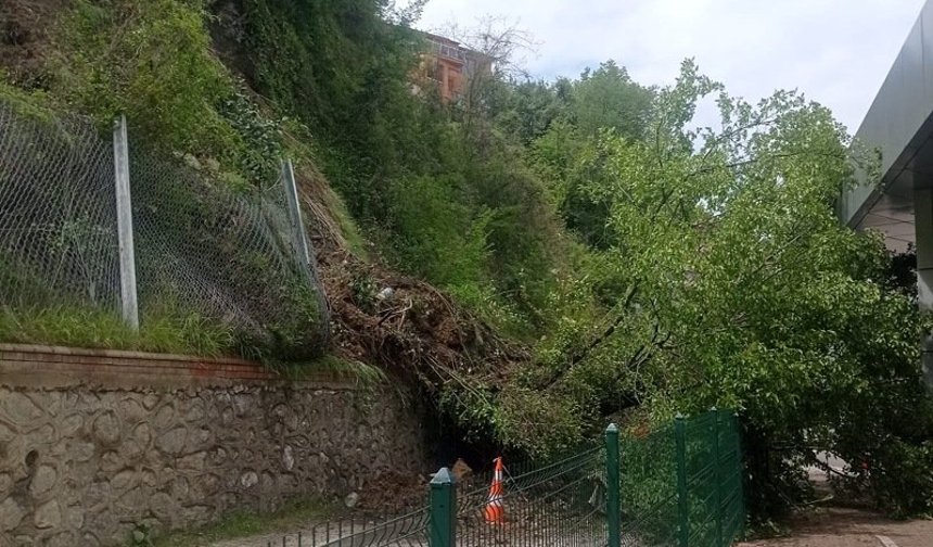 Terminal bölgesinde heyelan; yıkılan ağaç, peronlara devrildi