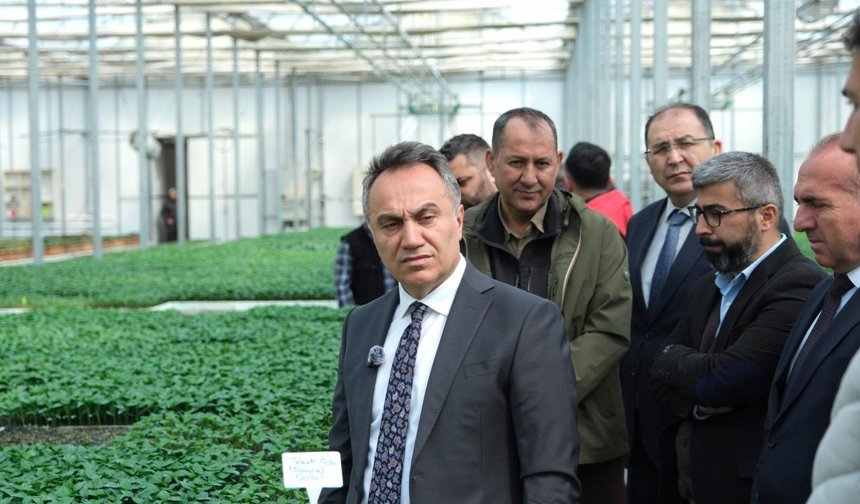 Tokat Gaziosmanpaşa Üniversitesi'nden üreticiye 1 milyon fide desteği