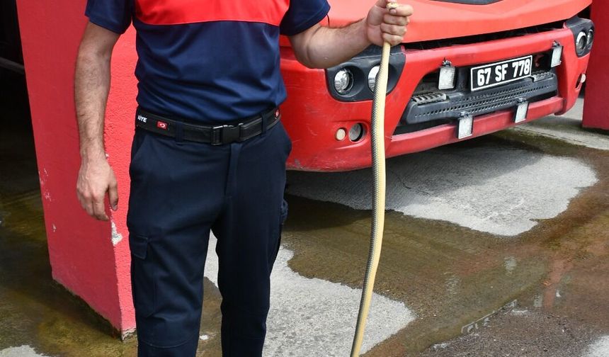 Aile Sağlığı Merkezi'ne giren yılanı itfaiye ekibi yakaladı