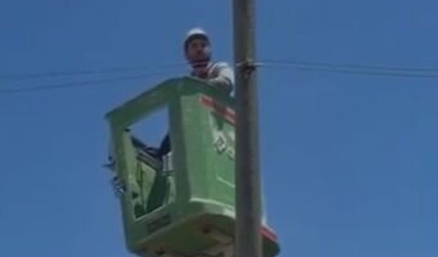 Amasya'da elektrik direğinde mahsur kalan kedi kurtarıldı