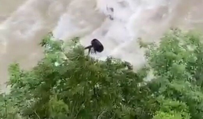 Çoruh Nehri'ne düşen otomobilde kaybolan baba-oğul aranıyor
