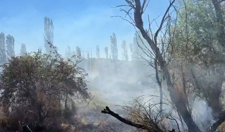 Çorum'da ekili arazi ve ağaçlık alanda yangın