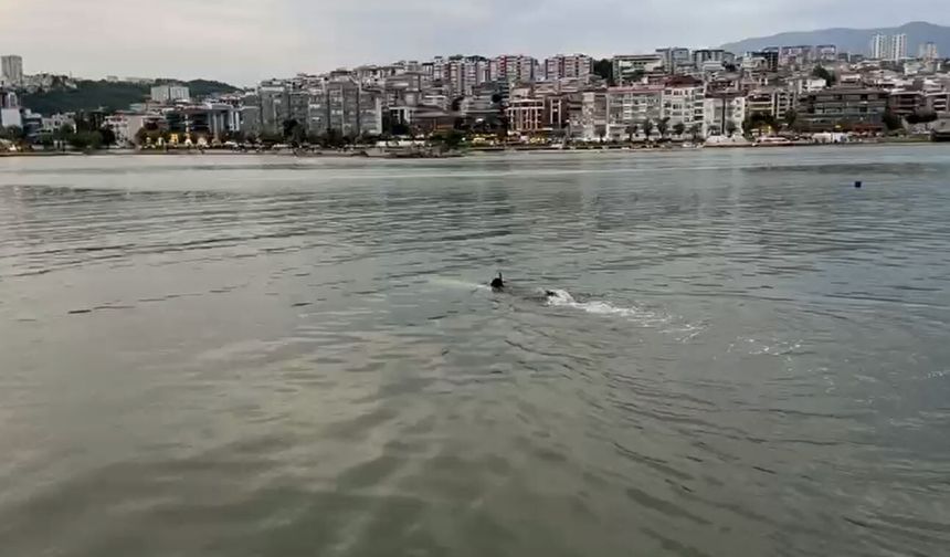Ekipleri harekete geçiren deniz kıyısındaki eşyalar, profesyonel yüzücünün çıktı