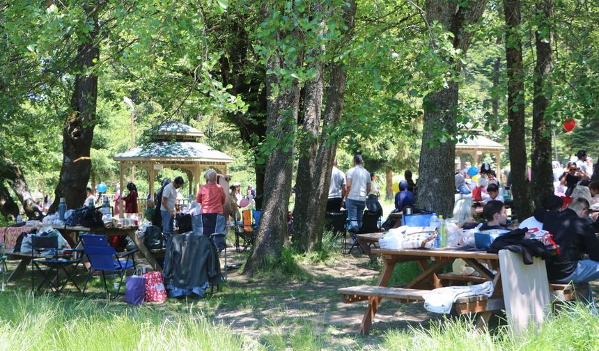 Gölcük'te çam ormanları dronla görüntülendi