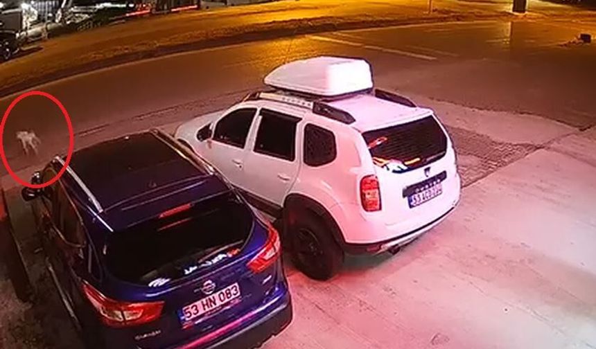 Köpeğe çarpmamak için manevra yaptı, takla atan ATV'de öldü; kaza kamerada