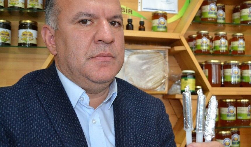 Ordu'da arı sütüne ilgi artıyor