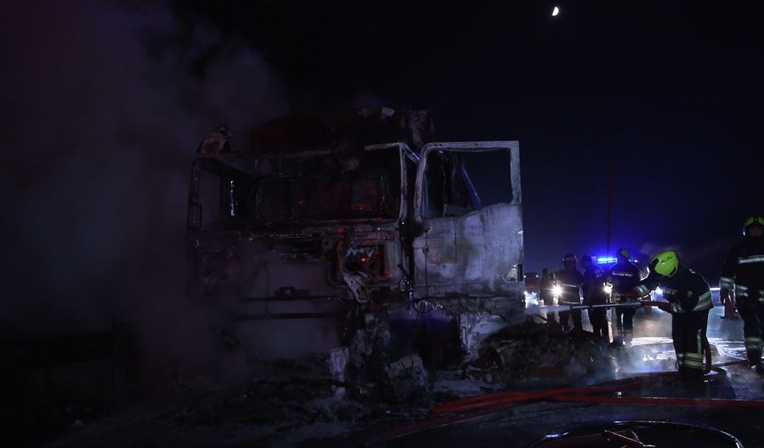 Tavuk eti yüklü TIR, otoyolda alev alarak yandı