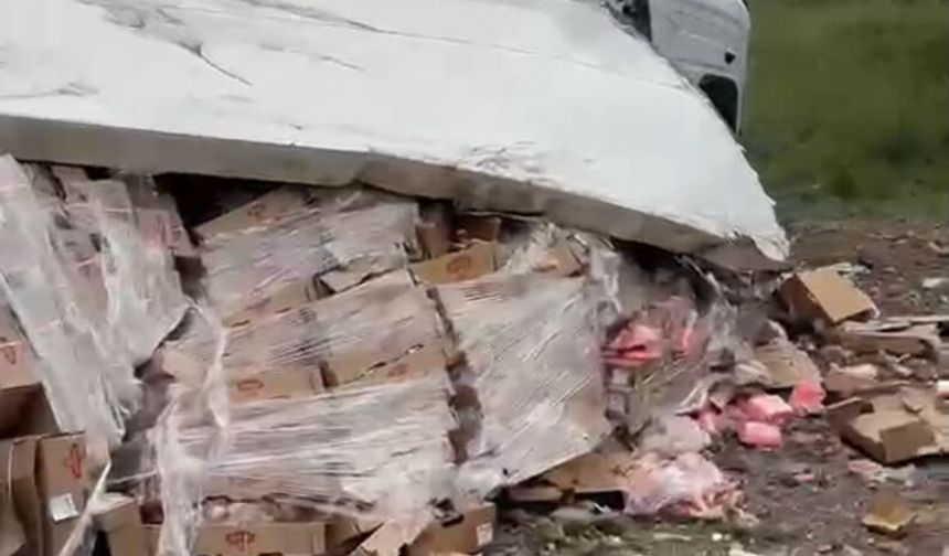 Tavuk eti yüklü TIR şarampole devrildi: 2 yaralı