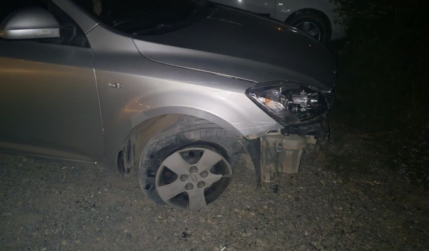 Trafik levhasına çarpıp kaçan alkollü sürücüye 25 bin TL ceza